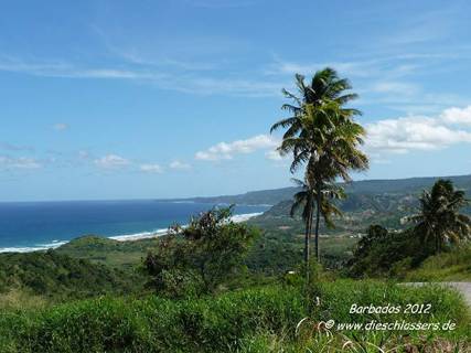 Barbados 2012 908.JPG