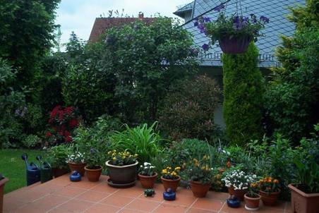 Terrasse und Garten.jpg