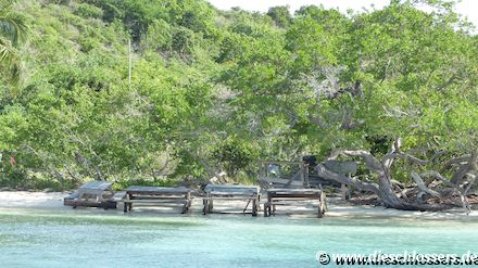 Bird Island