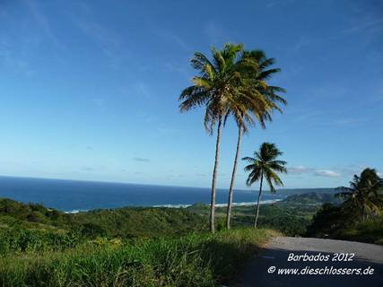 Barbados 2012 1066.JPG