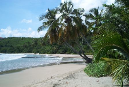 Grenada 2007 439.JPG