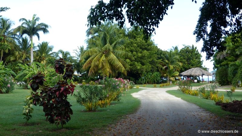 Park