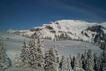 Lauterbrunnen 2008 033.JPG