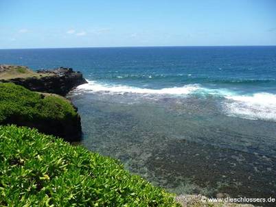 Mauritius 2008_0310.JPG