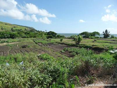 Mauritius 2008_0310.JPG