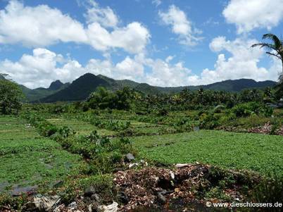 Mauritius 2008_0310.JPG