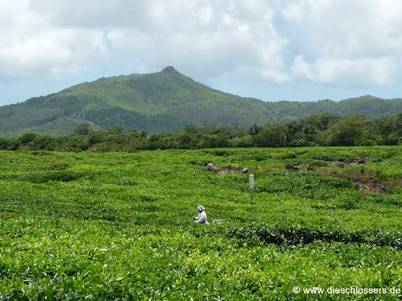 Mauritius 2008_0302.JPG