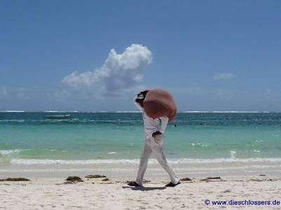 Mauritius 2008_0310.JPG